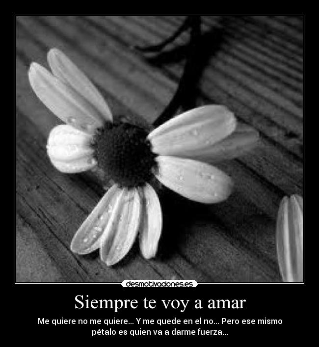 Siempre te voy a amar Desmotivaciones