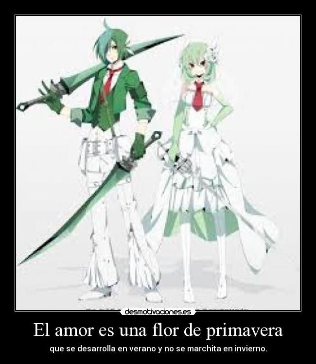 El amor es una flor de primavera -