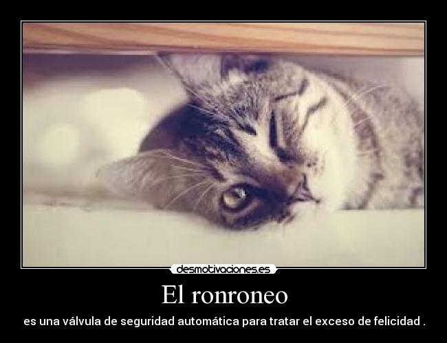 El ronroneo - es una válvula de seguridad automática para tratar el exceso de felicidad .