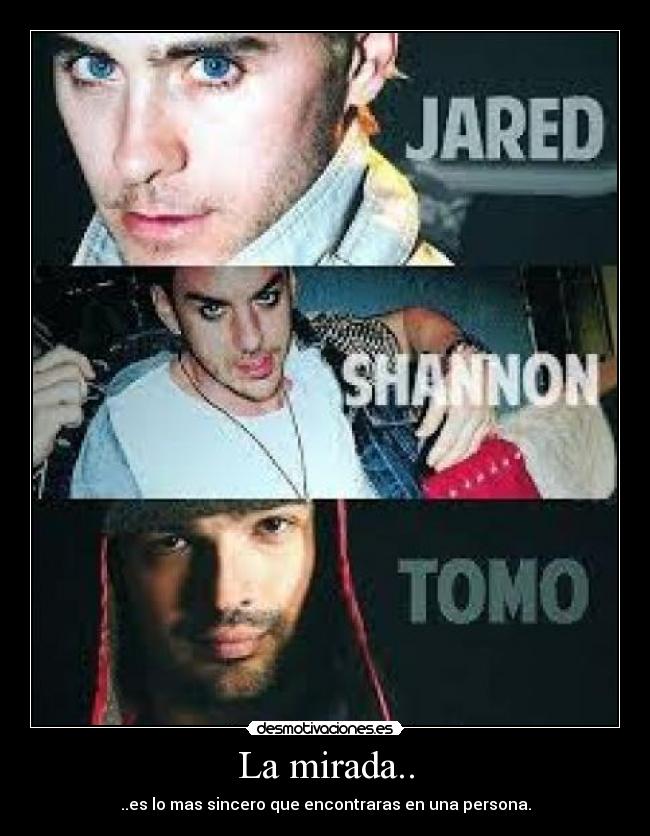 La mirada.. - ..es lo mas sincero que encontraras en una persona.