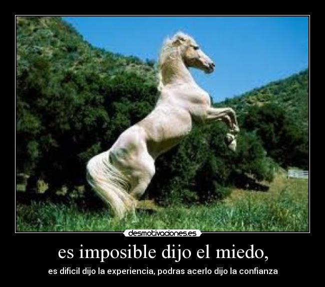 es imposible dijo el miedo, - es dificil dijo la experiencia, podras acerlo dijo la confianza