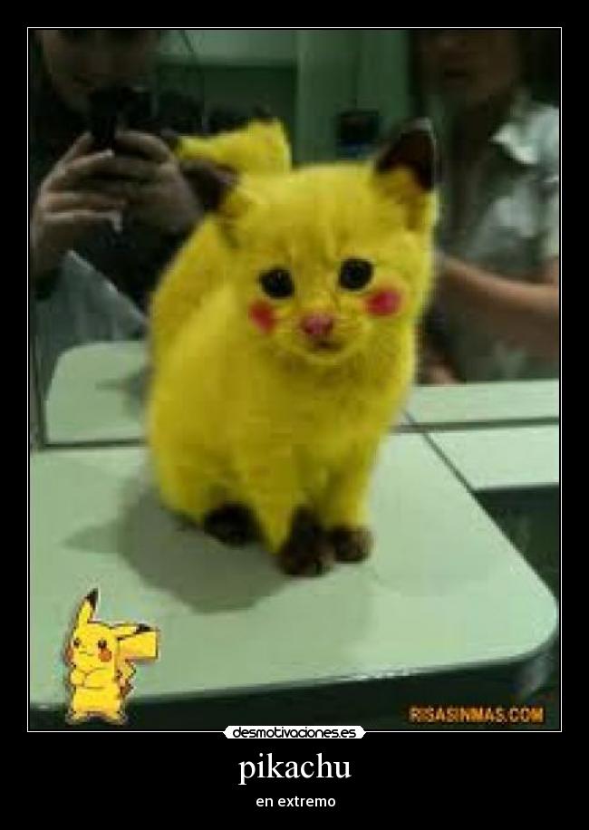 pikachu - en extremo