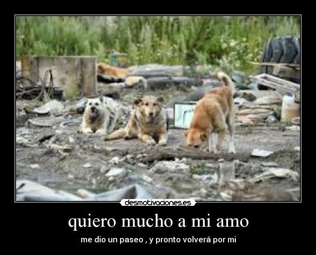 carteles kunfu panda desmotivaciones