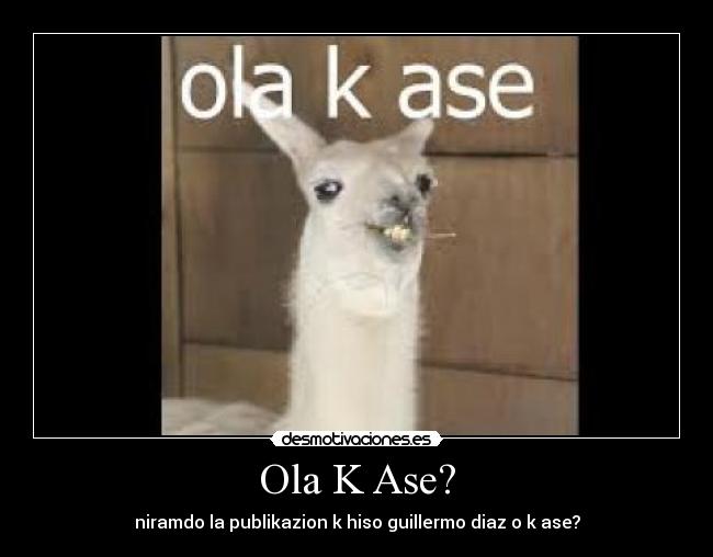 Ola K Ase? -
