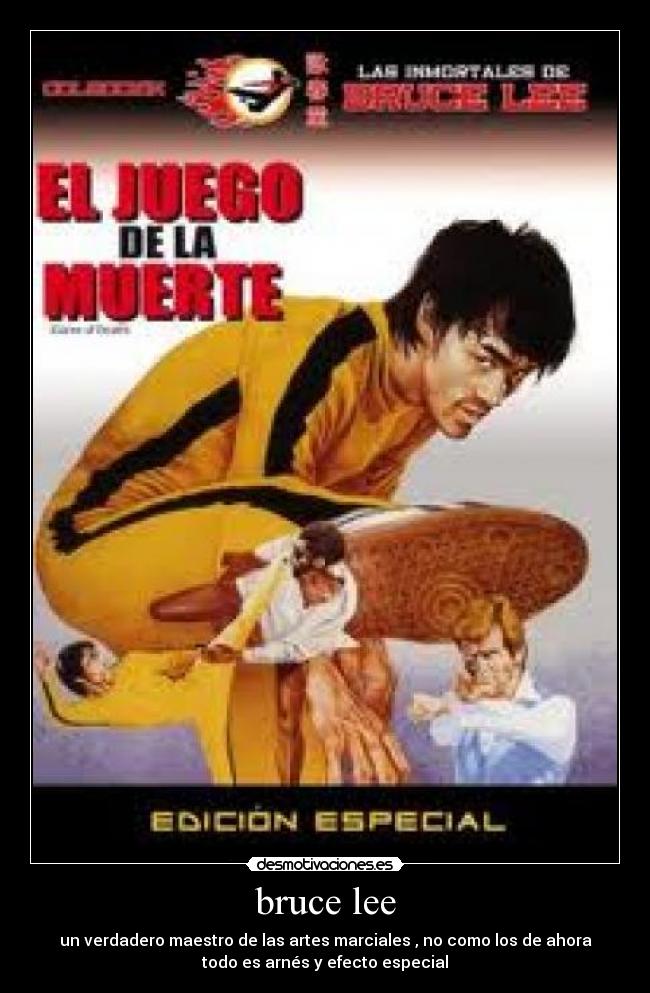 bruce lee -