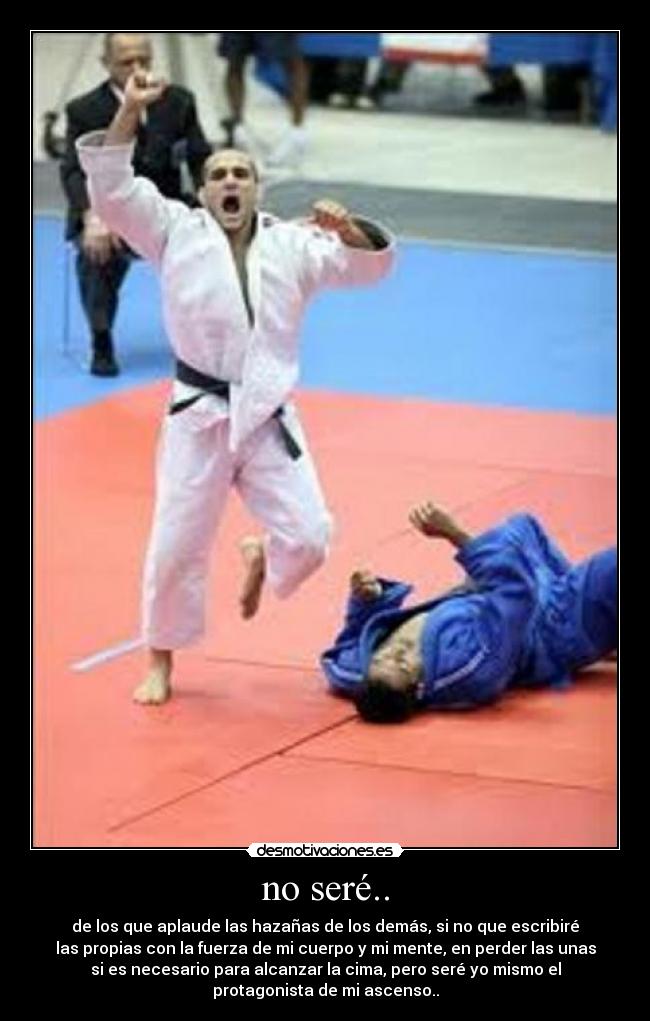 carteles judoca desmotivaciones