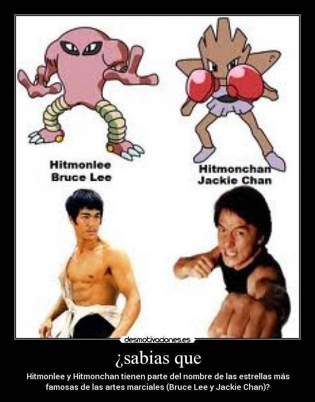 ¿sabias que - Hitmonlee y Hitmonchan tienen parte del nombre de las estrellas más
famosas de las artes marciales (Bruce Lee y Jackie Chan)?