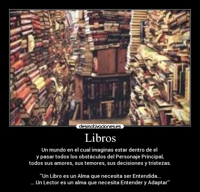 Libros - Un mundo en el cual imaginas estar dentro de el 
y pasar todos los obstáculos del Personaje Principal,
todos sus amores, sus temores, sus decisiones y tristezas.

Un Libro es un Alma que necesita ser Entendida...
... Un Lector es un alma que necesita Entender y Adaptar
