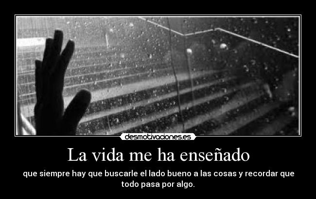 carteles vida zshu desmotivaciones