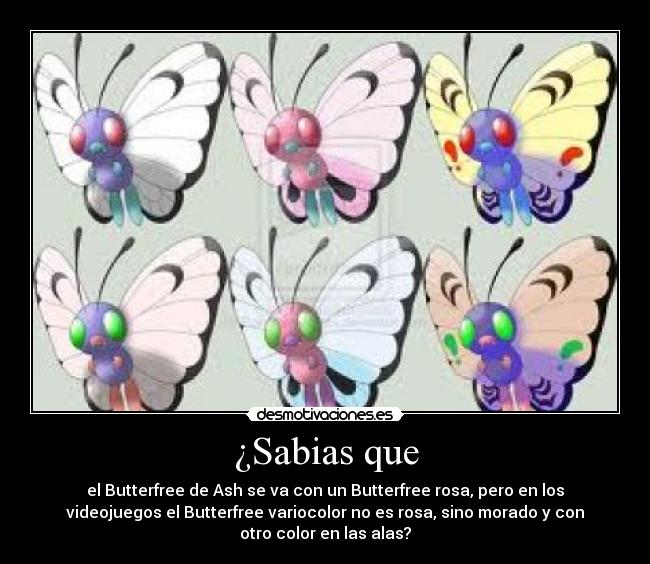 ¿Sabias que - el Butterfree de Ash se va con un Butterfree rosa, pero en los
videojuegos el Butterfree variocolor no es rosa, sino morado y con
otro color en las alas?