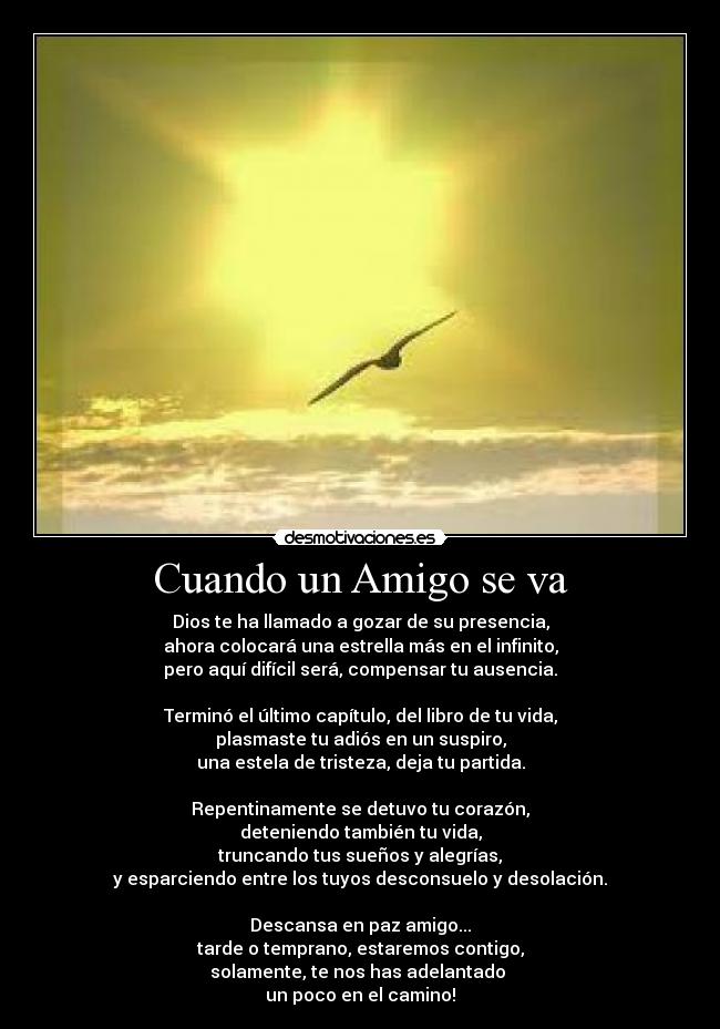 Gerelateerde afbeelding