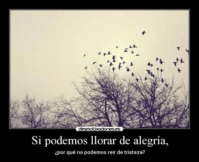 carteles llorar alegria onceuponatime desmotivaciones