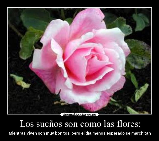 carteles suenos desmotivaciones