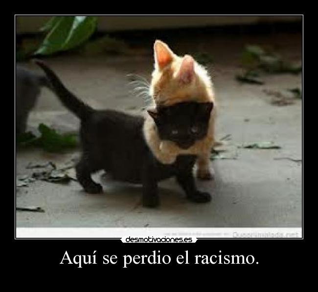 Aquí se perdio el racismo. -