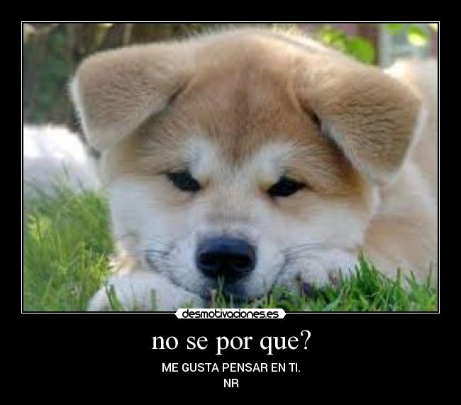 no se por que? - ME GUSTA PENSAR EN TI.
NR