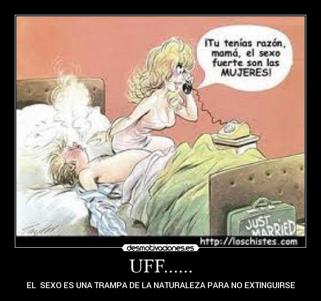 carteles sexo desmotivaciones