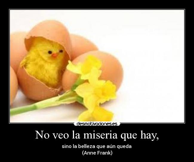 No veo la miseria que hay, -