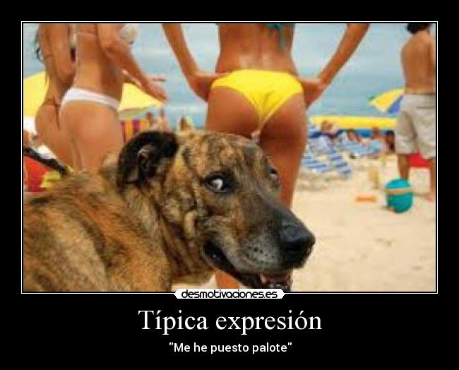 Típica expresión - Me he puesto palote