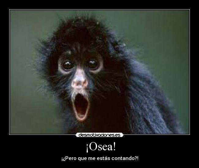 ¡Osea! -