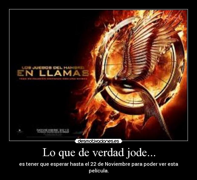 carteles ljdh llamas pelicula desmotivaciones