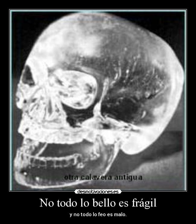 No todo lo bello es frágil - y no todo lo feo es malo.