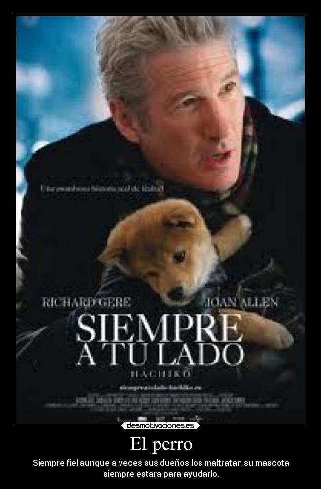 El perro - Siempre fiel aunque a veces sus dueños los maltratan su mascota
siempre estara para ayudarlo.