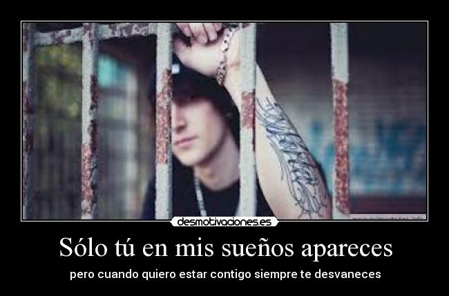 carteles amo gatete desmotivaciones