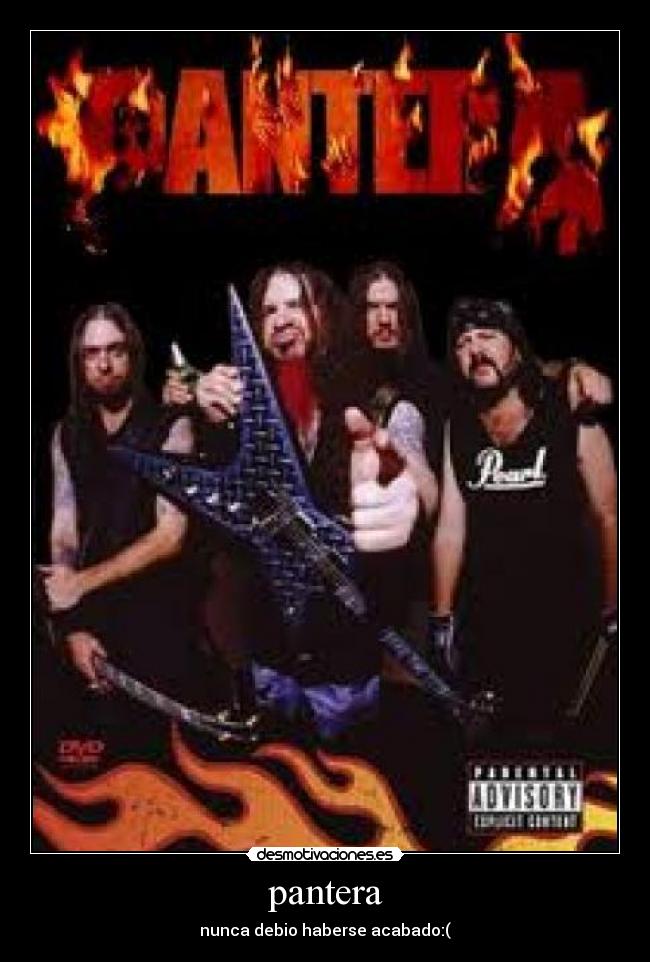 pantera - nunca debio haberse acabado:(
