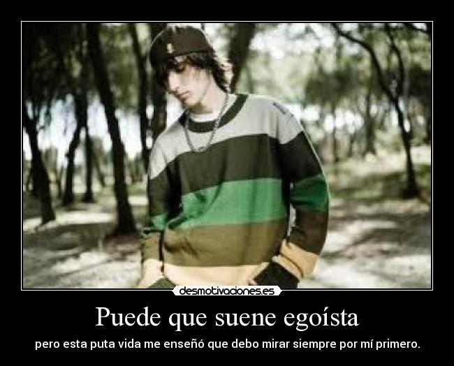 carteles porta amo gatete desmotivaciones