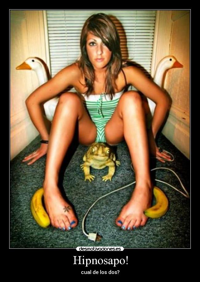 carteles picaronaaa desmotivaciones