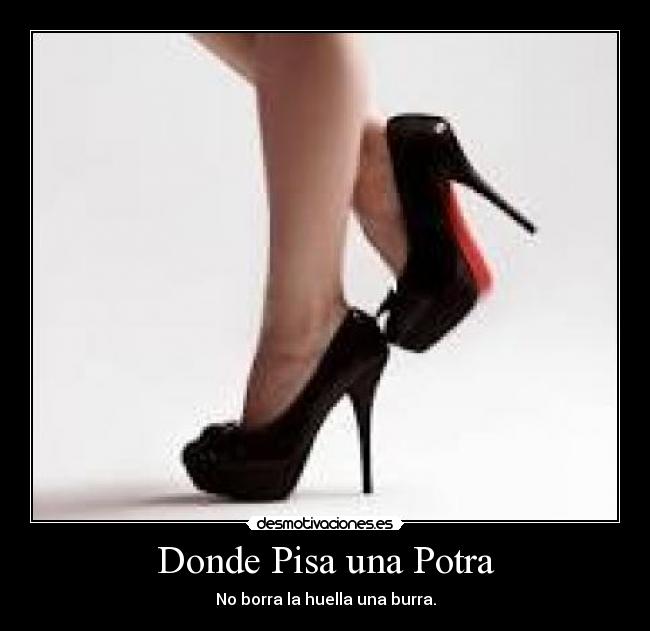 Donde Pisa una Potra - 