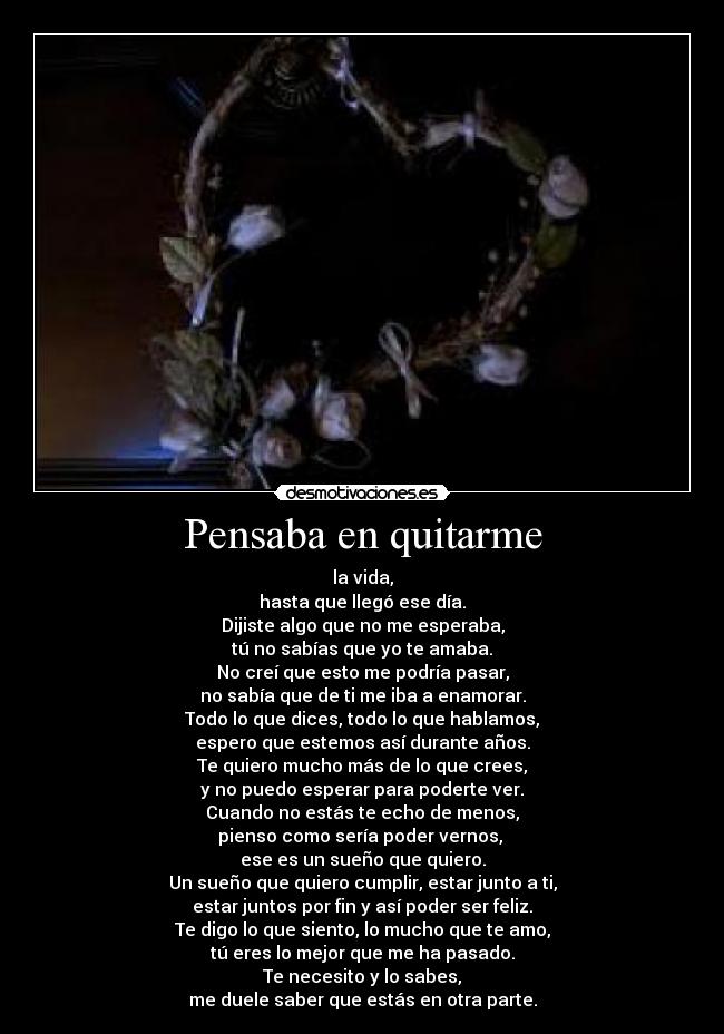 carteles amo gatete desmotivaciones