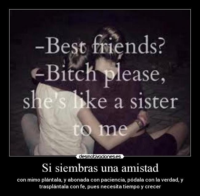 carteles amistad amistad sembrar mimo plantar abonar paciencia podar verdad trasplantar necesitar tiempo crecer desmotivaciones