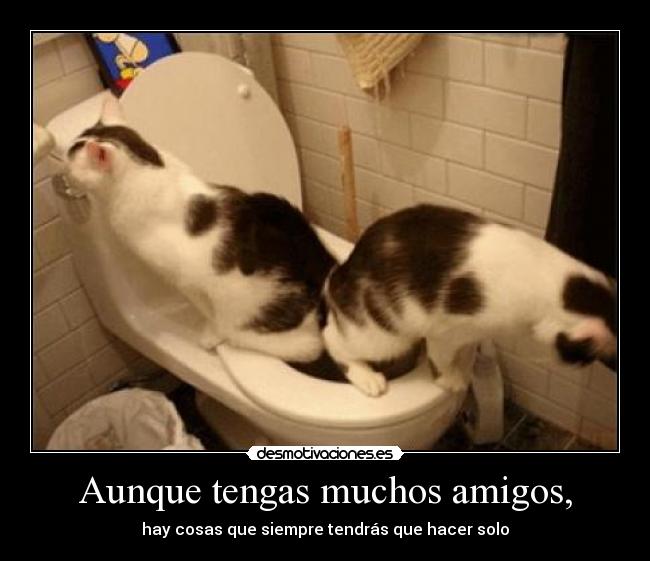 Aunque tengas muchos amigos, - 
