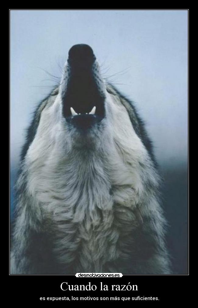Cuando la razón -