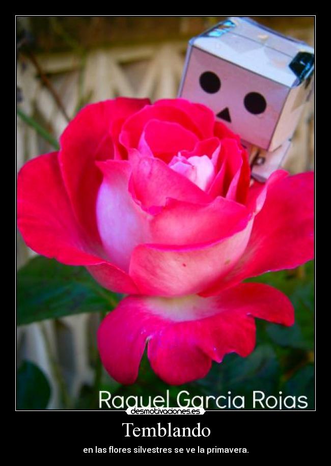 Temblando - en las flores silvestres se ve la primavera.