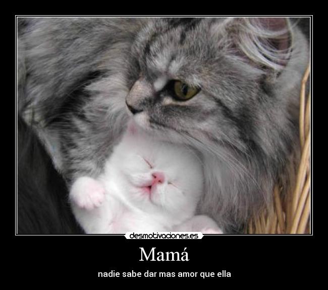 Mamá - nadie sabe dar mas amor que ella