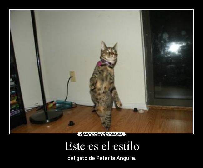 Este es el estilo - del gato de Peter la Anguila.