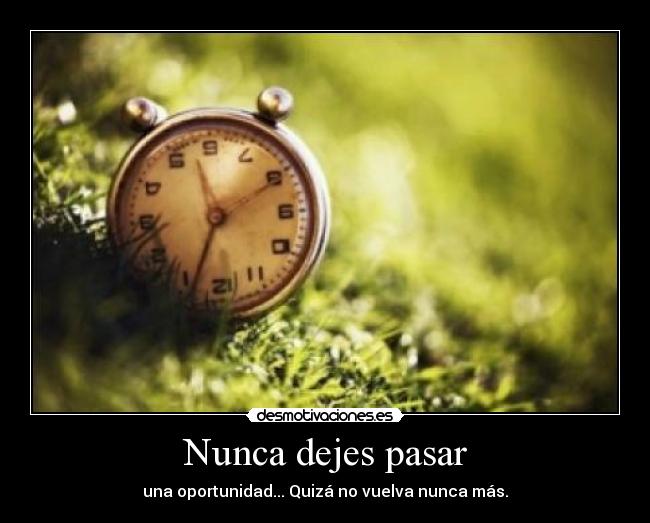 Nunca dejes pasar - una oportunidad... Quizá no vuelva nunca más.