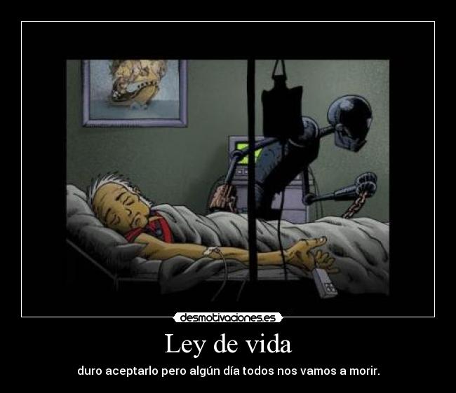 Ley de vida -