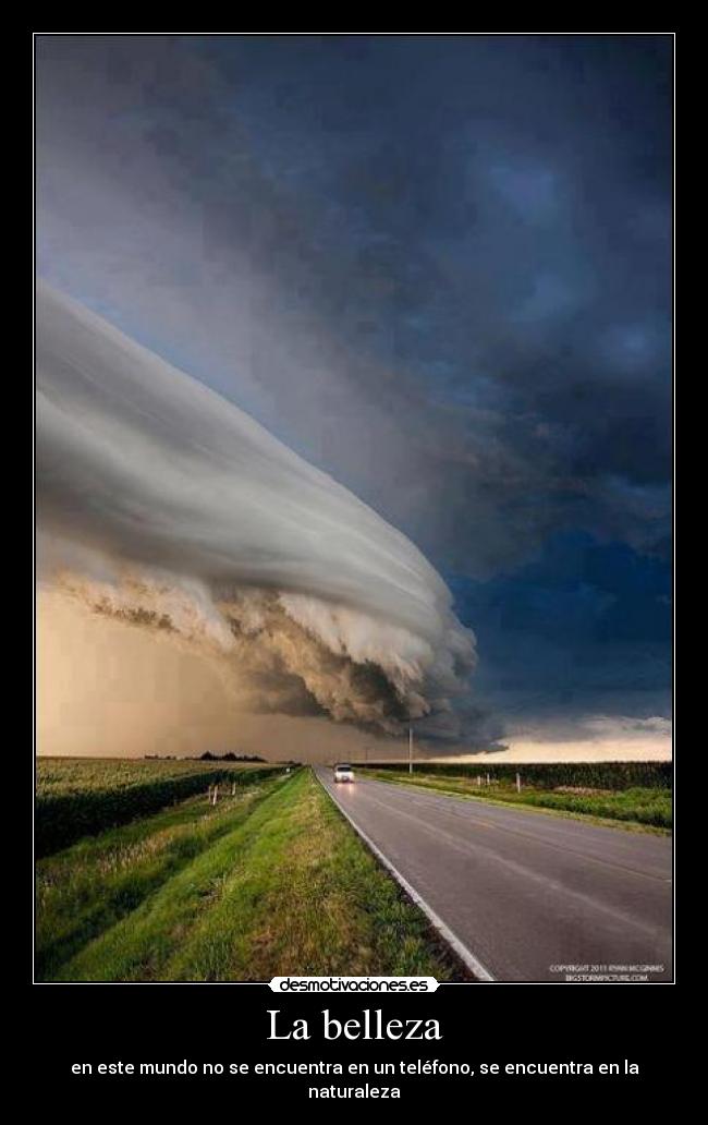 La belleza - en este mundo no se encuentra en un teléfono, se encuentra en la naturaleza