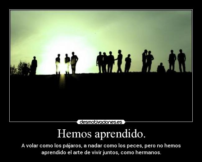 carteles hemos aprendido volar como los pajaros nadar como los peces pero hemos aprendido arte desmotivaciones