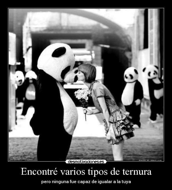 carteles love pandas desmotivaciones