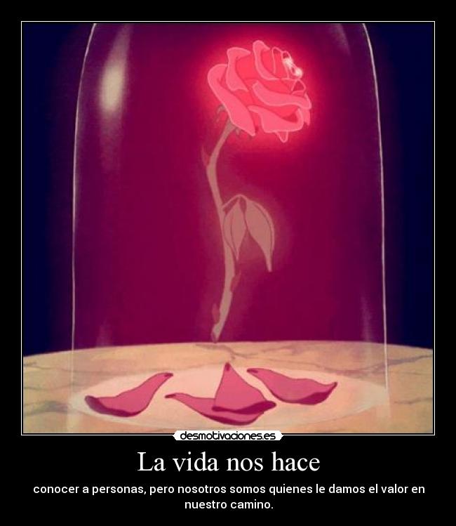 La vida nos hace - conocer a personas, pero nosotros somos quienes le damos el valor en
nuestro camino.