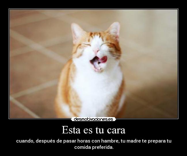 Esta es tu cara - cuando, después de pasar horas con hambre, tu madre te prepara tu
comida preferida.