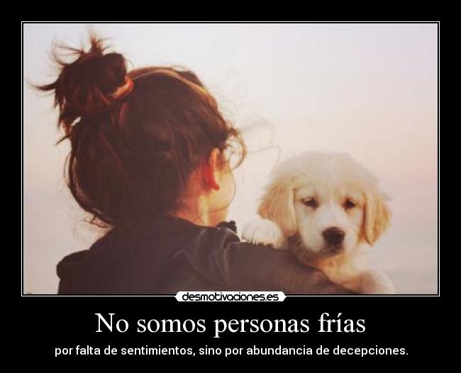 No somos personas frías - por falta de sentimientos, sino por abundancia de decepciones.