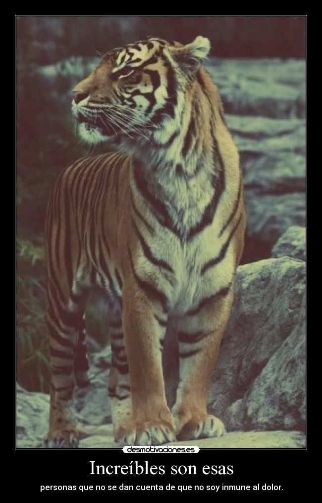 Increíbles son esas - personas que no se dan cuenta de que no soy inmune al dolor.