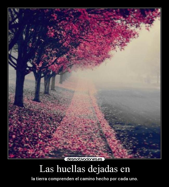 Las huellas dejadas en - la tierra comprenden el camino hecho por cada uno.