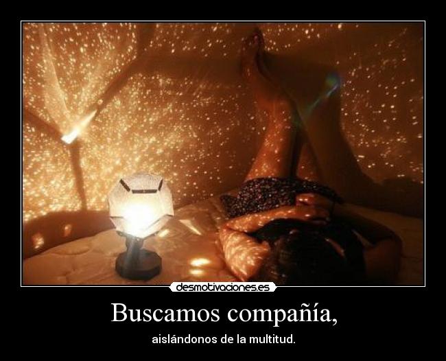Buscamos compañía, -