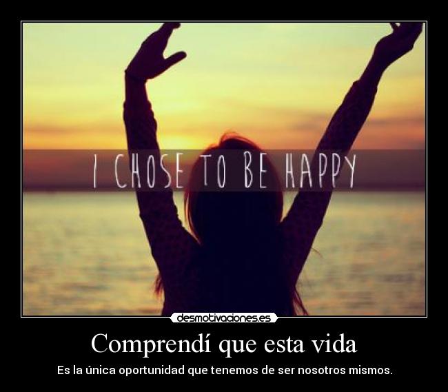 carteles vida desmotivaciones